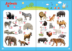 Libro di lettura con punta del dito del libro di educazione dell'audiolibro per la prima infanzia giocattoli educativi per l'apprendimento intelligente - Product Image 2