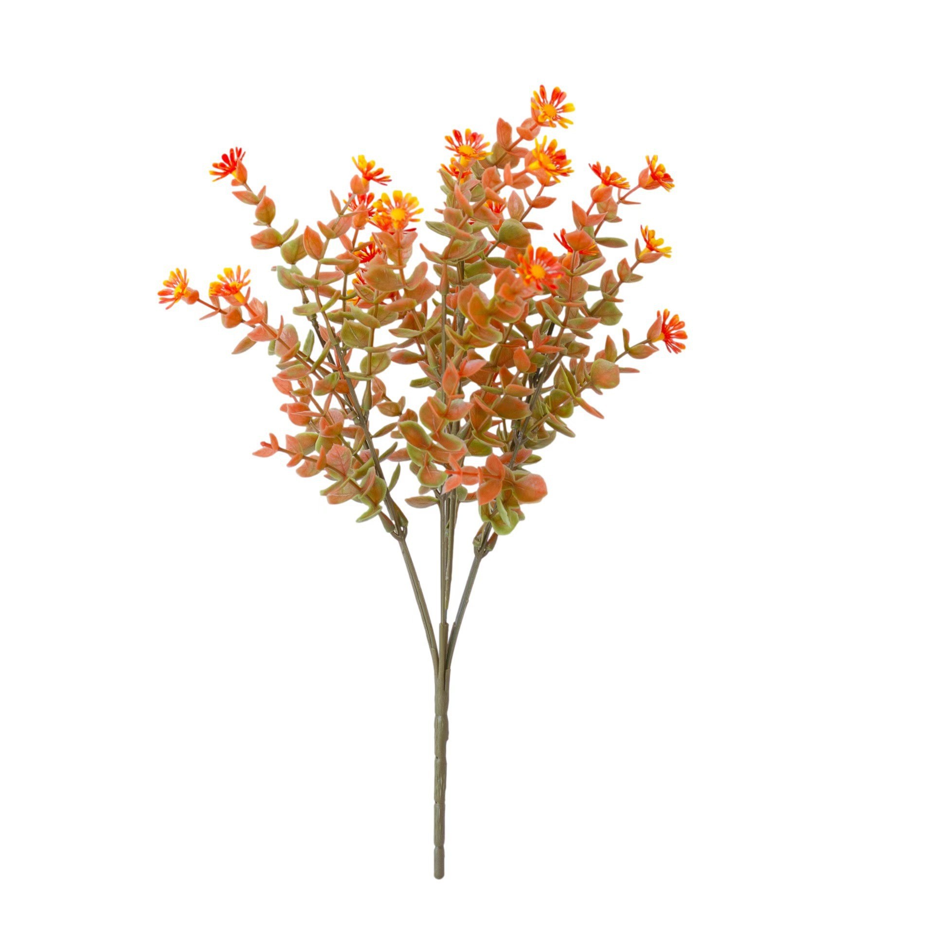 Chrysanthème d'eucalyptus rouge d'automne