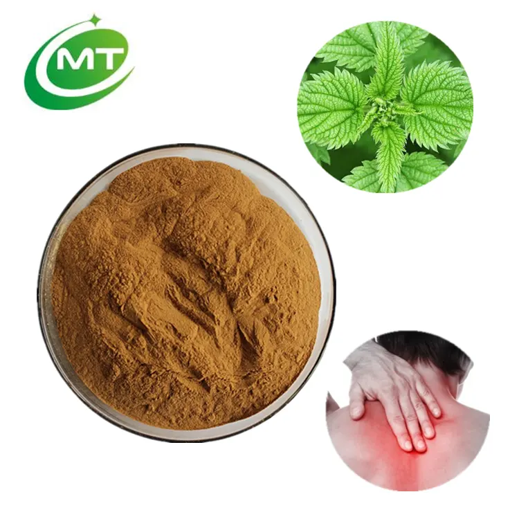 Bulk Price Organic Pure Natural Urtica dioica Nettle Extract/Common Nettle Extract/Stinging Nettle Herb Extract Powder for Pain