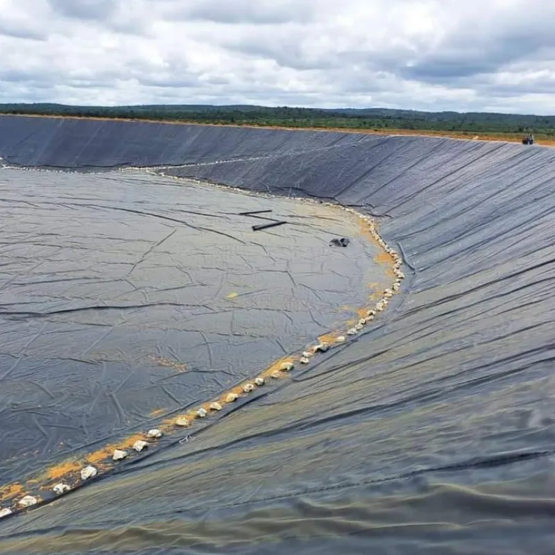 Geomembrana HDPE 2mm nero diga di controllo del suolo discarica copertura del suolo testurizzata patine pesci Geomembrane per acquacoltura