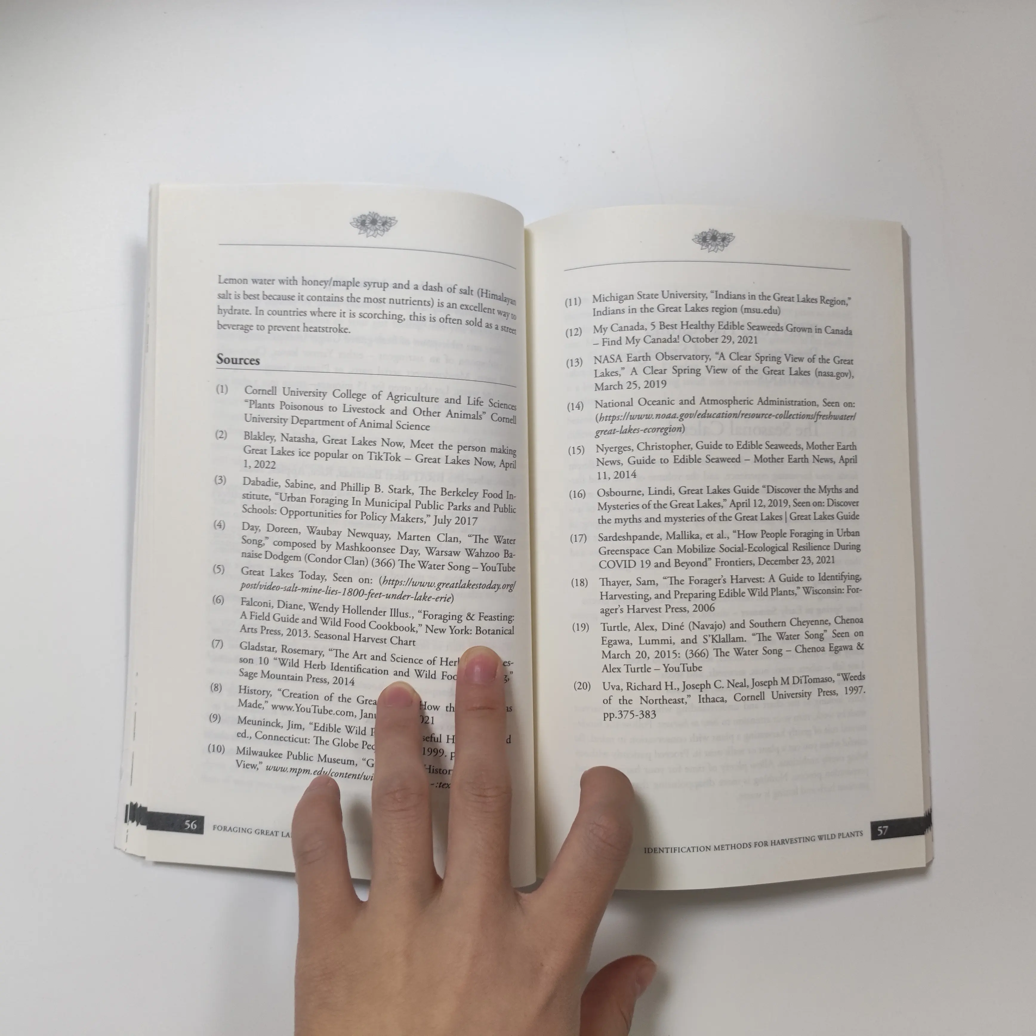 Pages durables entièrement personnalisées à liaison parfaite à l'intérieur des services d'impression de livres brochés à couverture souple