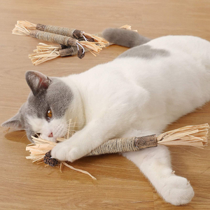 <strong>Catnip</strong> Silvervine Sticks - Designed to Clean Your Cats' Teeth, <strong>Catnip</strong> Chew Toy, <strong>Safe</strong> for All Ages