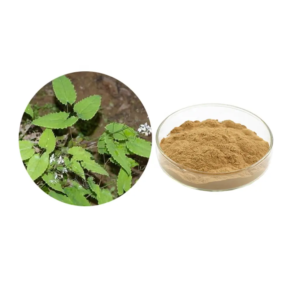 Epimedium Brevicornum Extract Geile Geit Wiet Extract Epimedium Extract Poeder 10:1