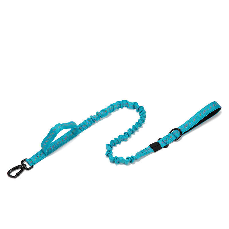 Light Blue-Leash