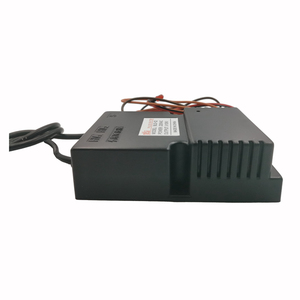 适用于石油气和天然气点火和火焰检测的脉冲点火器 - Product Image 1
