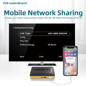 HD 1080P DVB-S2 Dsport FTAデコーダMPEG-2デジタル衛星テレビ受信機DVB S2チューナーOEM/ODM PVR内蔵Wifiセットトップボックス - Product Image 4