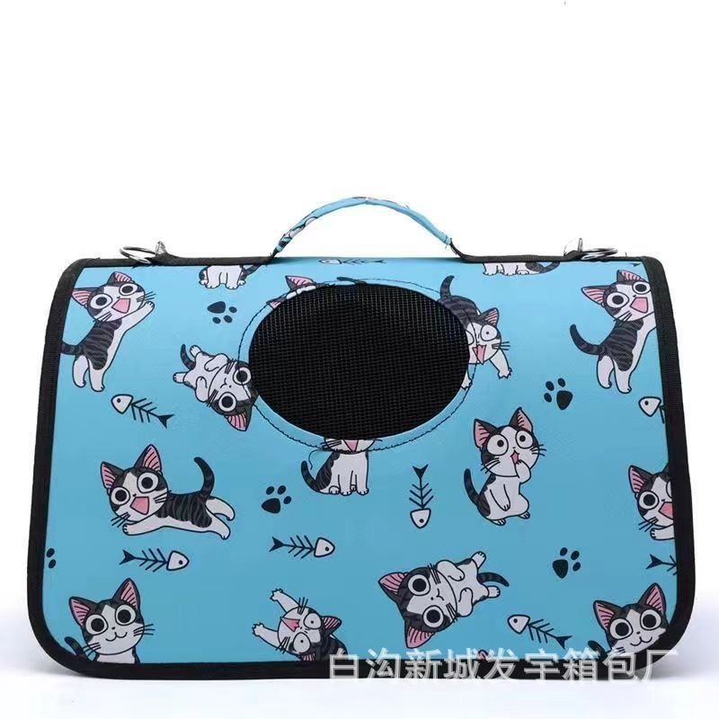 Poisson-chat bleu