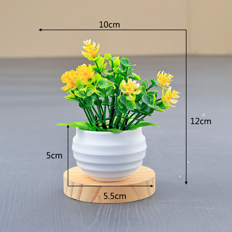 coupe de football blanche + jaune eucalyptus