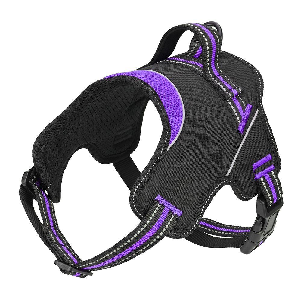 Cyber Purple