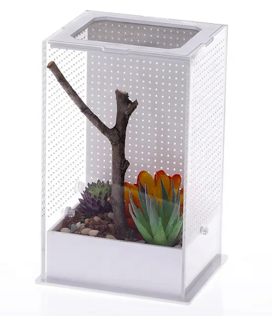 Vỏ Acrylic Từ Tính, Hộp Nuôi Bò Sát Terrarium Cage Tank Cho Tarantula Scorpion Sling Isopods Thằn Lằn