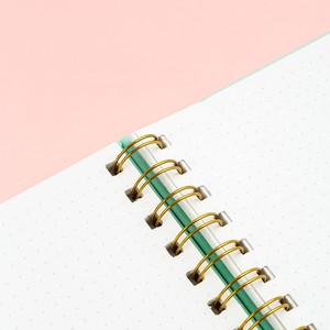 Wholesale <strong>Cheap</strong> A5 Size Hard Shell Paper Cover Dotted Spiral Planner Journal Notebook for Business <strong>Writing</strong> - Product Image 5