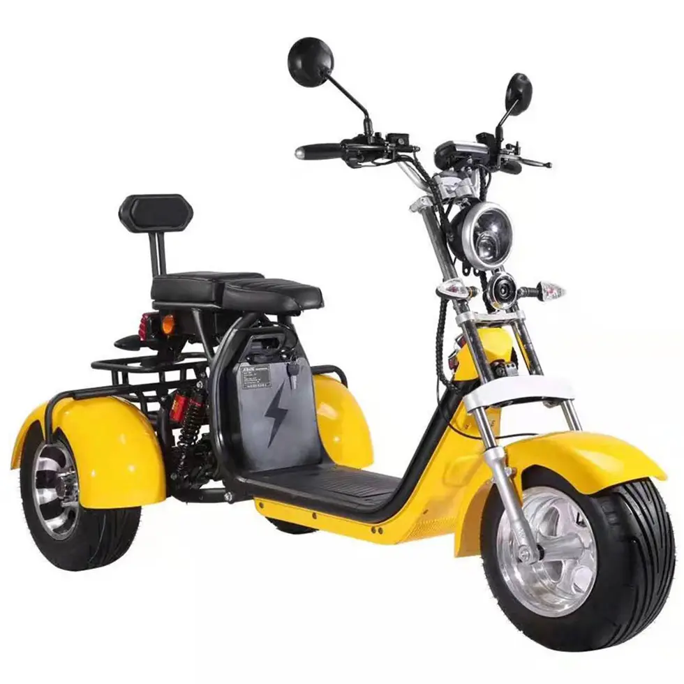 3 rodas golfe citycoco bolsa, triciclo elétrico de carga scooter scooter elétrico de mobilidade