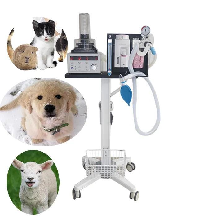 Grosir medis mesin anestesi hewan portabel harga pabrik peralatan rumah sakit dokter hewan untuk penggunaan hewan