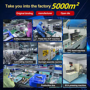 Полупрозрачный дисплей 800*480, 5 дюймов - Product Image 5