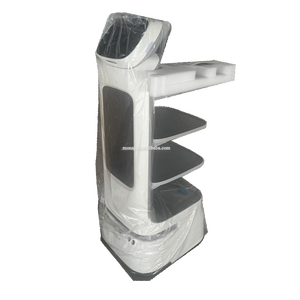 Umwelt freundlicher ABS-Material liefer roboter Panda-Muster Smart Food Delivery Robot für Restaurant - Product Image 4