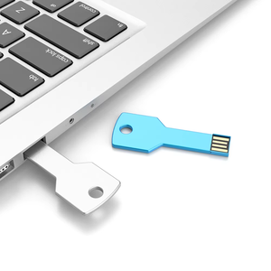 Ücretsiz örnek özel anahtar şekli USB Flash sürücü 128MB-32GB kapasiteleri hediye kutusu ile USB 2.0 arayüzü - Product Image 1