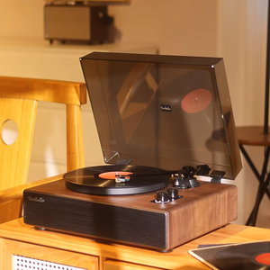 High-End Retro HiFi Stereo <strong>Audio</strong> Turntable Player with 12V <strong>Input</strong> <strong>USB</strong> <strong>Output</strong> and Recording Feature