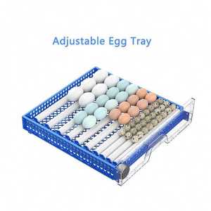 Yeni Dc Ac güç 36 64 128 192 256 yumurta çıkım Couveuse Oeuf otomatik kuluçka makinesi tavuk yumurtası kuluçka için tarım - Product Image 4