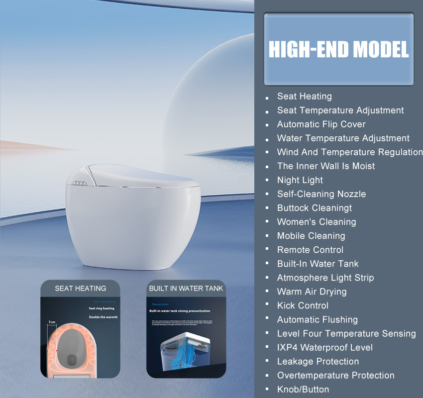 HIGH-END MODEL