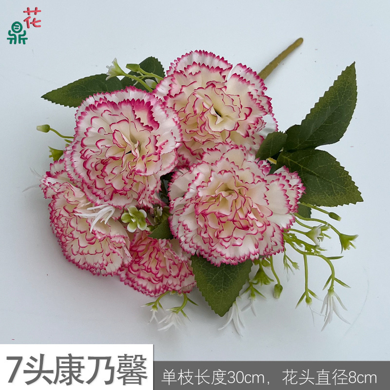 คาร์เนชั่น 7 หัว XC สีขาวและชมพู