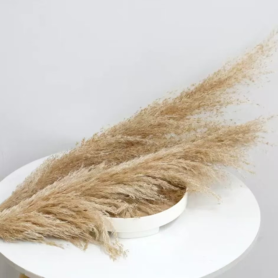 5 # 50-60cm