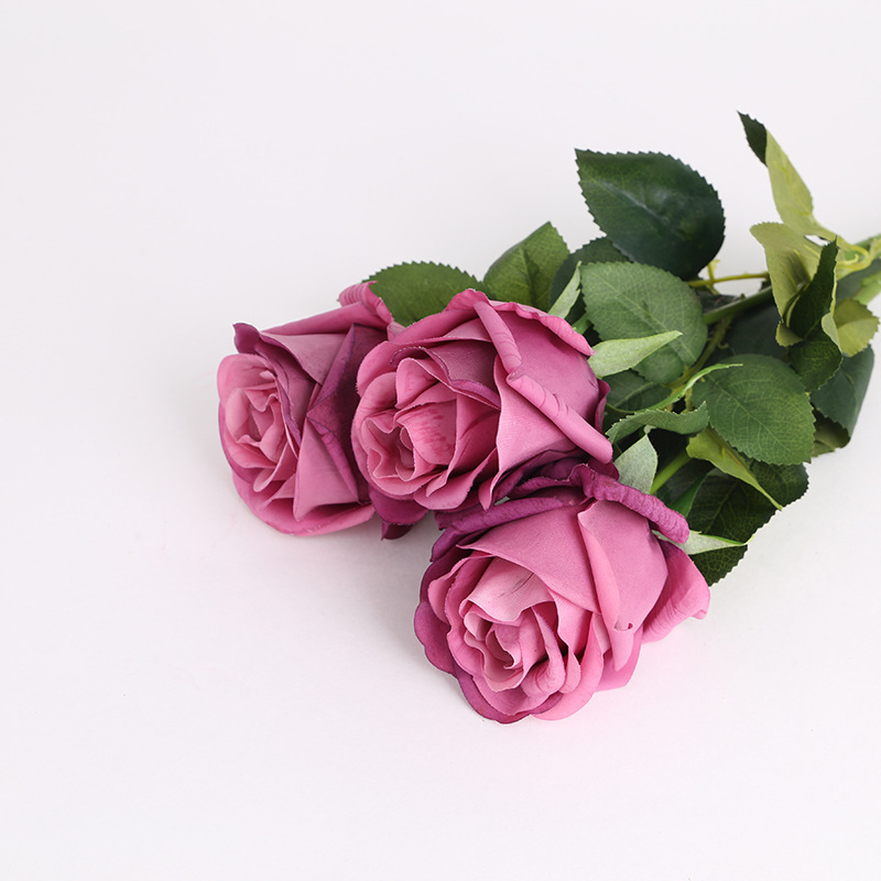 Gris violet Vénus