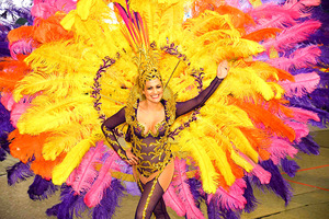 Large White Ostrich Plumes <strong>Feather</strong> For Carnival Festival Wedding Party Decoration Natural Bulk Supply Cheap Sale Washed Pattern - Product Image 6