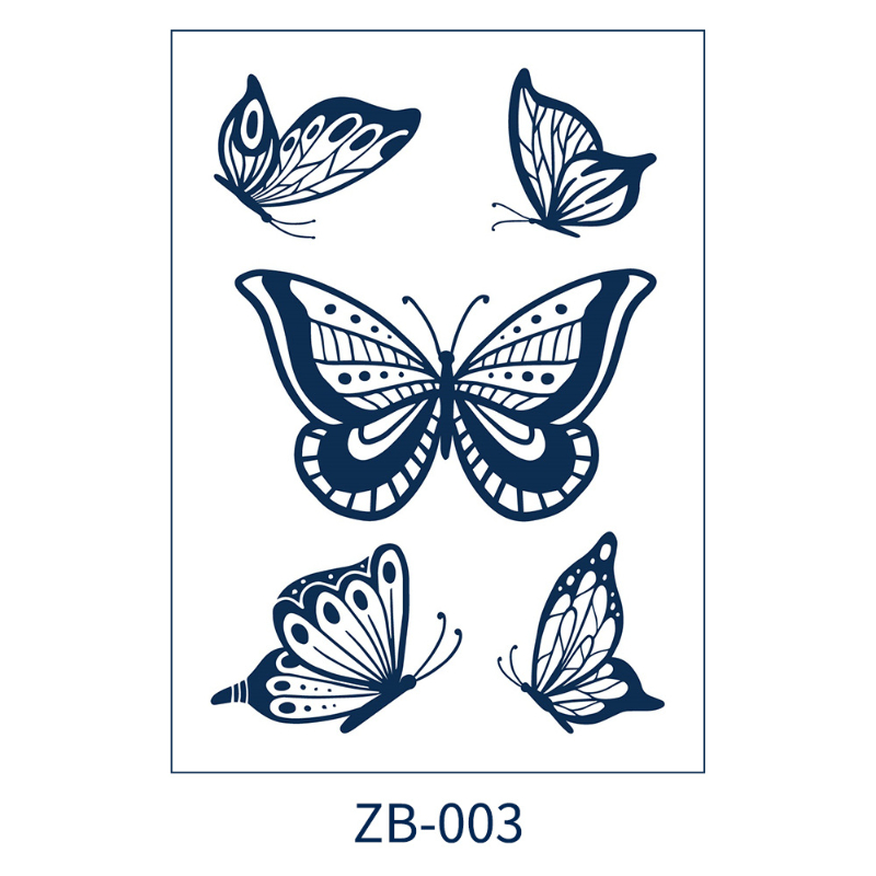 ZB-003