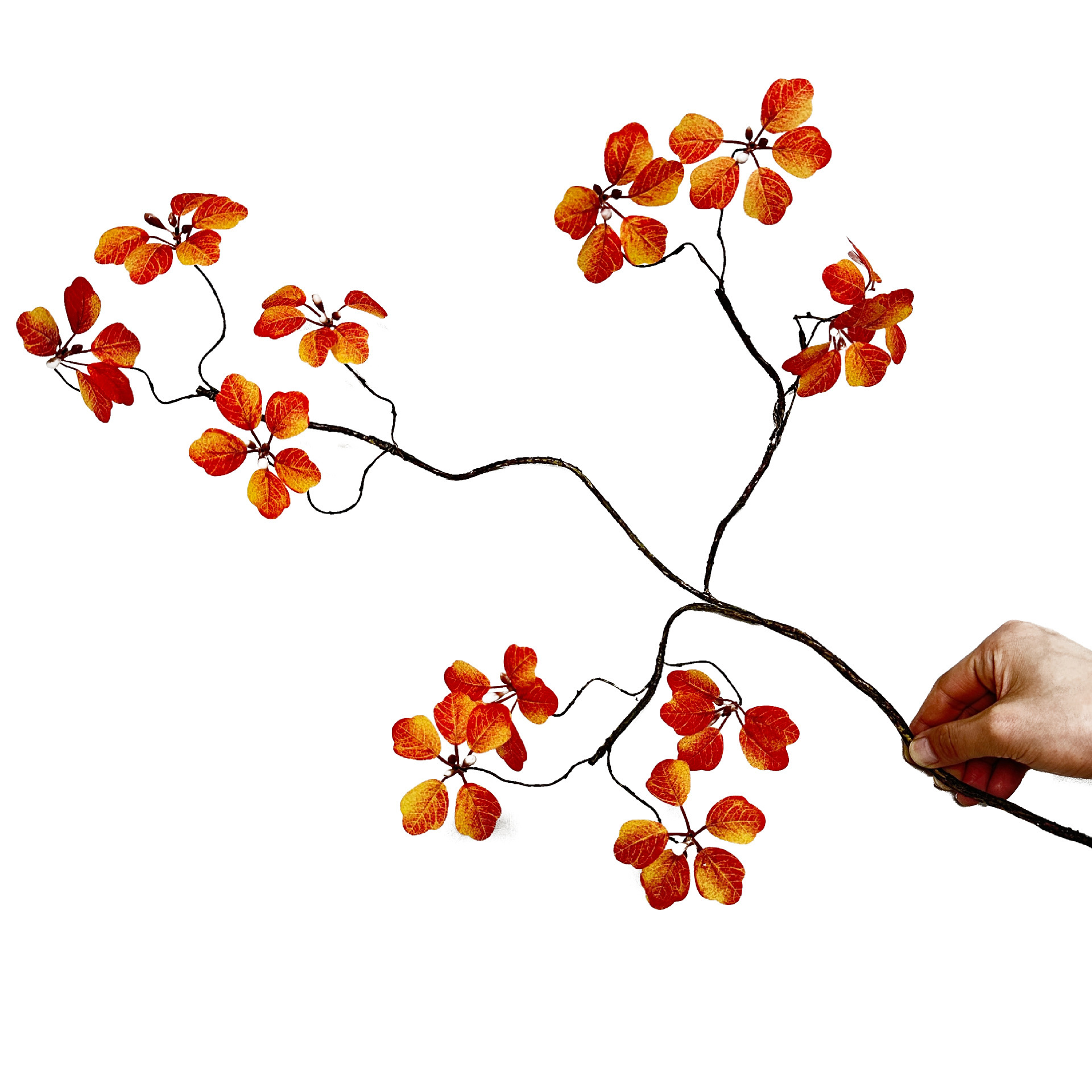 Red 60cm