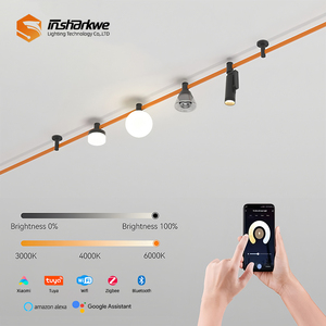 Teto Recesso Suspender Round Curve Track Tuya <span class=keywords><strong>Zigbee</strong></span> Wifi Smart Control Track Light DC48V Magnetic Track Light Design Moderno