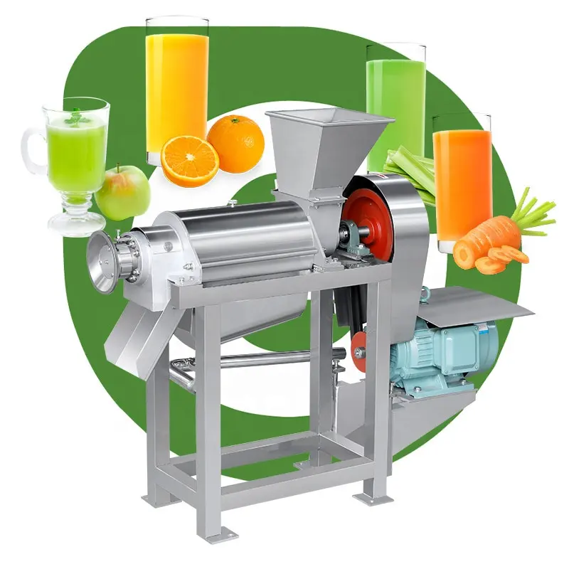 Coconut Milk Garlic Squeeze Parsley Extractor Beet Juice Make Apple Press Machine Commercial Fruit Juicer