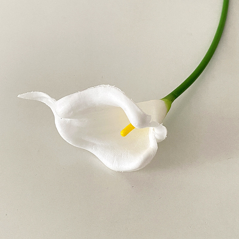 Noyau blanc jaune