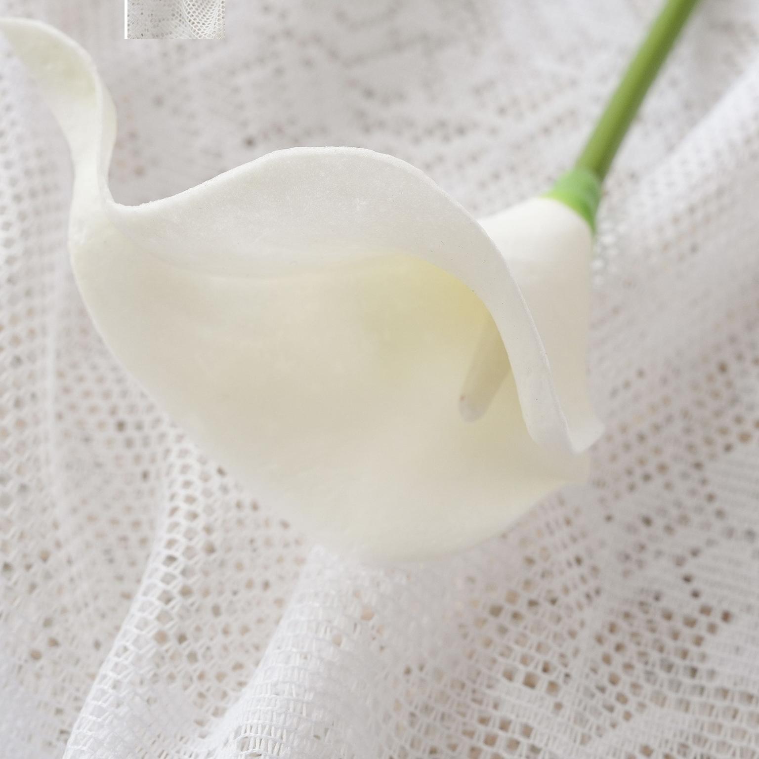 Blanc pur