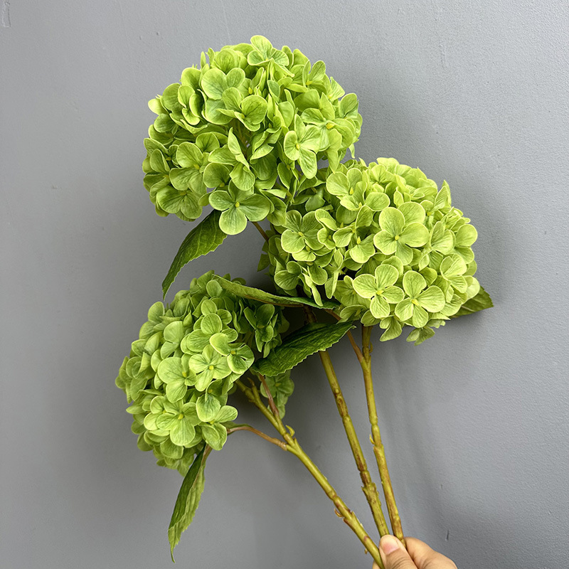 HH-Green