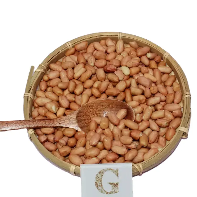 Geko Food vende por atacado produtos de saúde amendoim cru para assadeiras