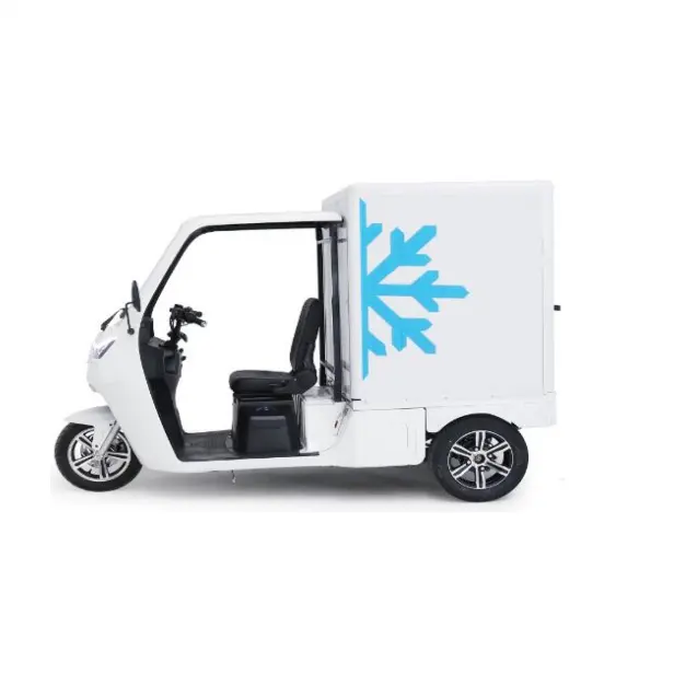 EEC 12 voltios furgoneta eléctrica unidad de refrigeración de entrega de alimentos carros de vehículos camión triciclo eléctrico de carga con cabina