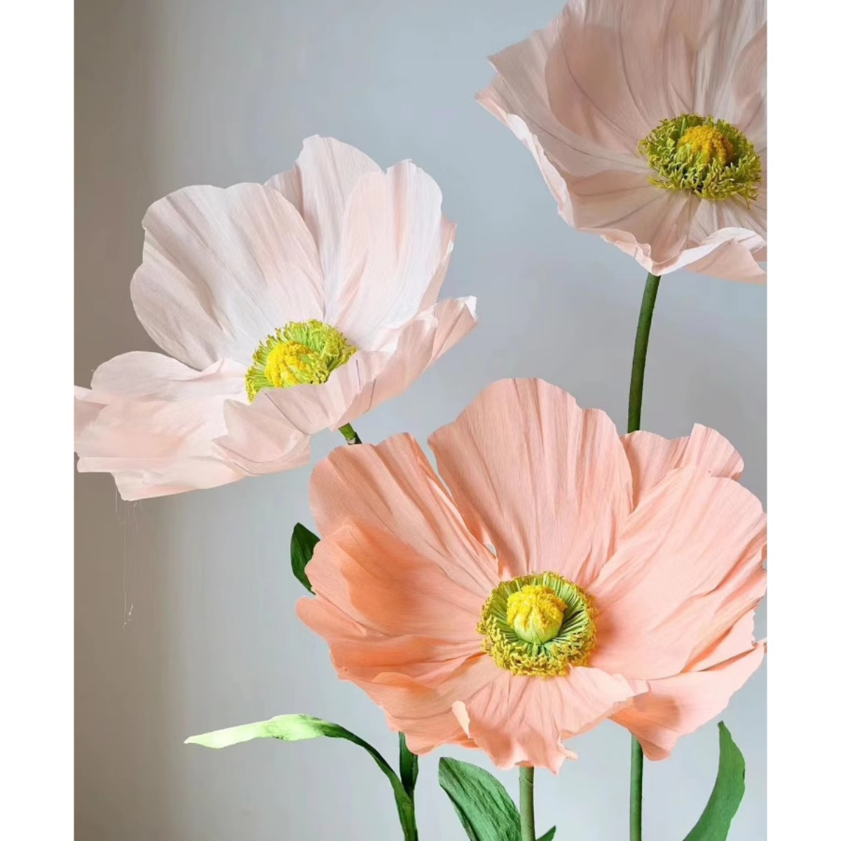 Poppy deep champagne color deep flower heart without pole