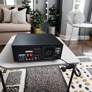 P40A Home Amplifier for <strong>Bluetooth</strong> HIFI Swiftlet Nest Power Amplifier with Metal <strong>Input</strong>/<strong>Output</strong> Bird Amplifiers New Release - Product Image 6