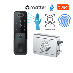 À prova d'água NFC <span class=keywords><strong>Smart</strong></span> Door Lock com Apple Homekit Tuya para Porta de Vidro RFID Rede Chave IP Senha Armazenamento de Dados para Home Hotel - Product Image 1