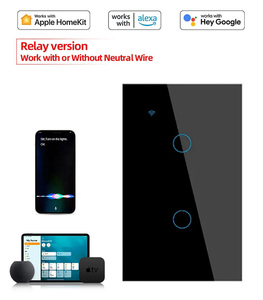 US/AU 2 Gang Tuya Smart WiFi und Touch Control Lichtsc halter - Product Image 6