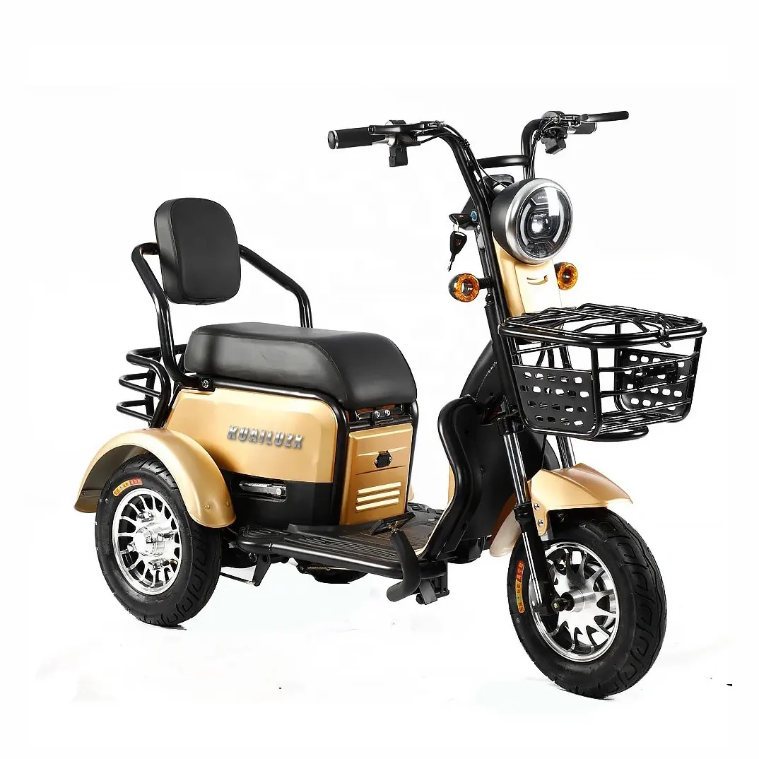 800W Electric Tricycle Household Small Scooter Three-Seat Adjustable Electric Tricycle Battery Powered Electric Bike Tricycle