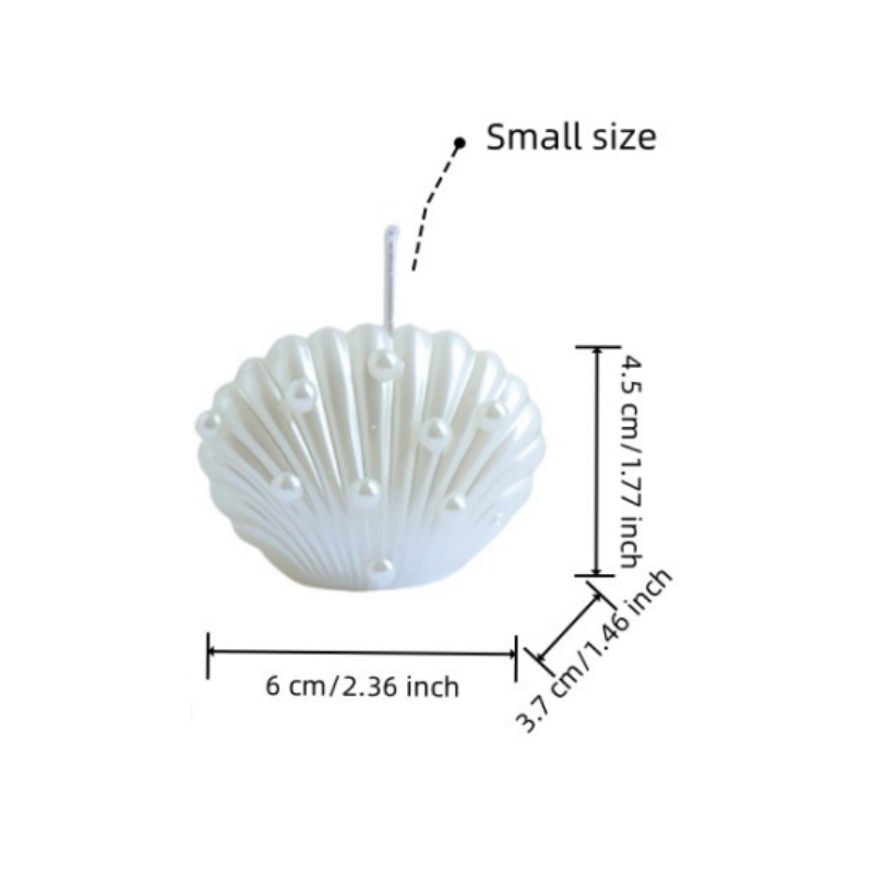 Petite coquille blanche