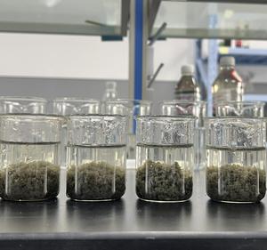 PAM Powder Flocculant Cationic Polyacrylamide <strong>CPAM</strong> for Sludge Dewatering <strong>Chemical</strong> - Product Image 2