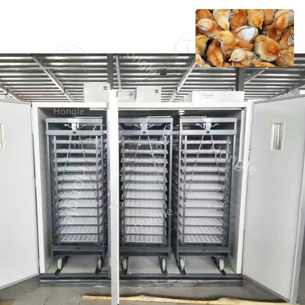 Incubatrice automatica commerciale dell'uovo e macchina della cova dell'uovo Hatc10000 attrezzatura ad alimentazione solare dell'azienda agricola del pollame del pollo del incubatoio