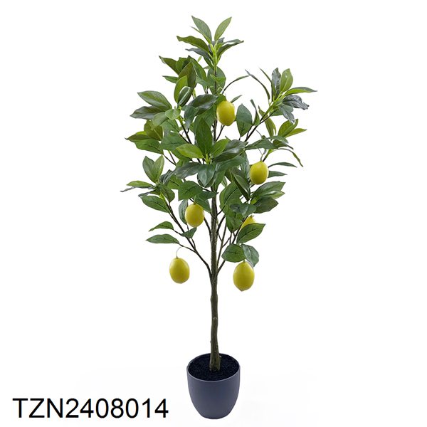 Vert-TZN2408014