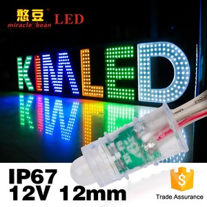 12mm WS2811 2811 IC Vollfarb-Pixel-LED-Modul Licht RGB Digital DC 5V Eingang IP68 Wasserdicht Ce 80 Ws2813 LED-Modul-20-60