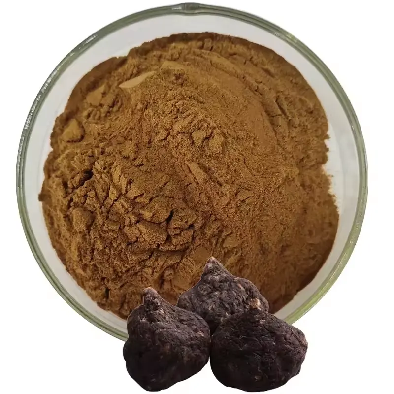 Extrato de planta de marca própria em pó de maca preta/pó de maca orgânica/pó de raiz de maca