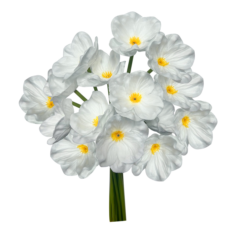 Coquelicot - Blanc