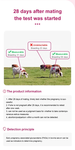15 phút kết quả chính xác cao gia súc bò bò mang thai toàn bộ máu nhanh chóng Kit kiểm tra cho trang trại động vật chăn nuôi - Product Image 3
