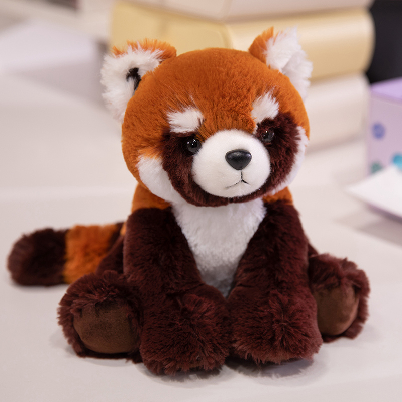 petit panda